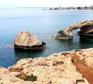 Ayia Napa Bogen Monachus Monachus