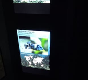 Tierpark Hellabrunn - Fische