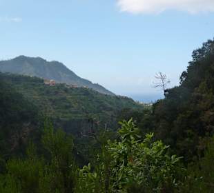 An der Levada do Costelejo