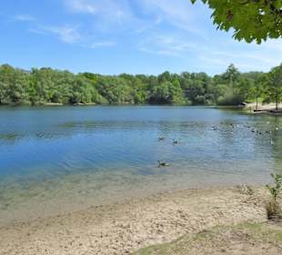 Impressionen vom Heidbergsee