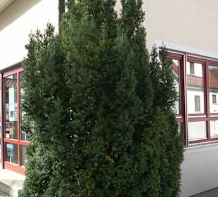 Evangelisches Gemeindehaus Linsenhofen