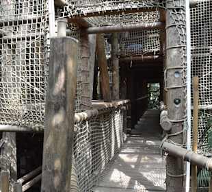Jungle Cabana