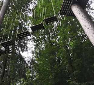 Natur-Hochseilgarten Triberg