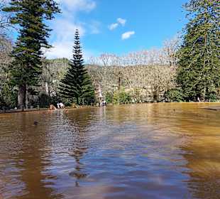 Parque Terra Nostra Park