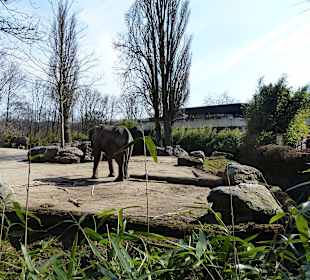 Elefantenanlage