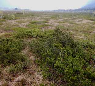 Blick von der Aussichtsplattform