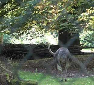Tierpark Hellabrunn - Afrika