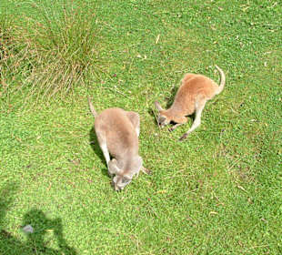 Freizeitpark