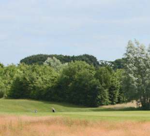 Blick auf die Fairways