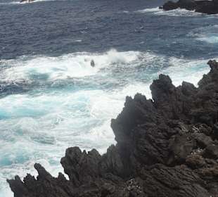 Inselrundfahrt Madeira