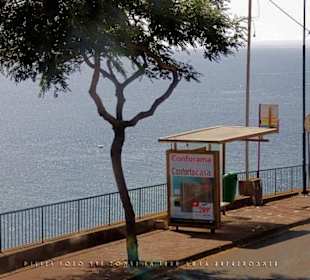 #1362 Yellow Bus hellblau Madeira-Camara de Lobos.