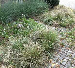 Denkmal für die Gefallenen