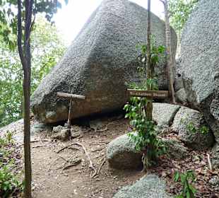 Ser schön hier oben