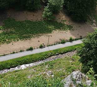 Wildpark Blick von oben auf Wildschweine