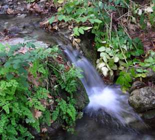 Wanderweg Milli-Park