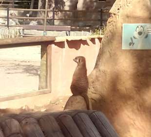 ZOO José Cruz Conde