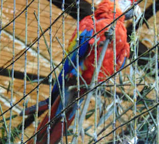 La Paz Waterfall Gardens