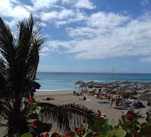Strand El Duque in Costa Adeje