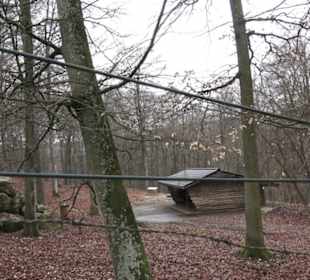 Wildpark Eichert