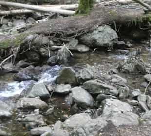 Wasserfall-Tour: Weg zu den Rißlochwasserfällen