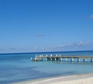 Im Bereich des National Parks