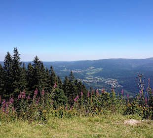 Wanderung "Großer Arber"