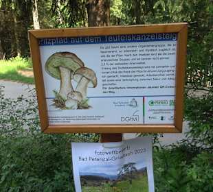 Teufelskanzelsteig Bad Griesbach