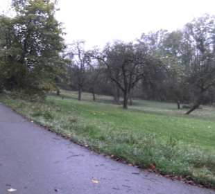 Naturschutzgebiet Listhof