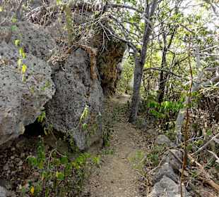 Eindrücke vom Rundgang über den Trail
