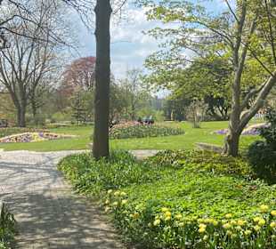 Schlosspark Siegen