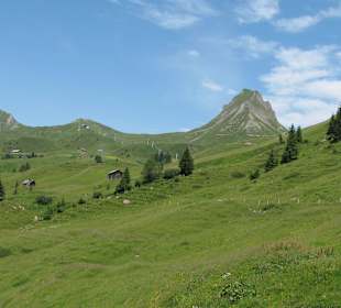 Sommerpanorama Damüls