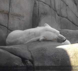 Tierpark Hagenbeck