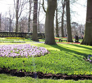 Keukenhof