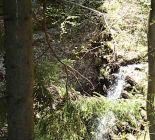 Wandern Velturno / Feldthurns