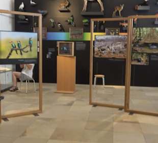 Museum für Ur- und Frühgeschichte