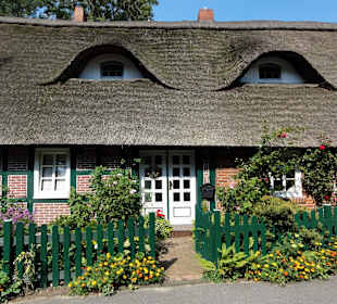 Blocklander Bauernhäuser am Wümmedeich