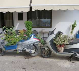 Ausgefallene Blumendeko auf ausrangierten Rollern