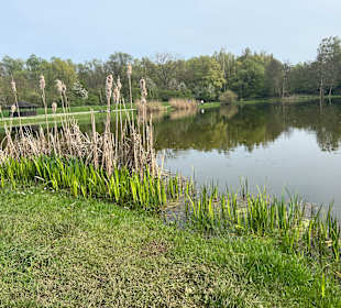 Wandern Dillingen/Saar