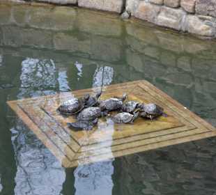 "Старый парк"п. Кабардинка