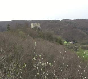 Wanderung rund um das Rusenschloss Gerhausen