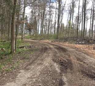 Vulkankrater-Rundweg Apfelstetten