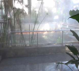 Real Jardín Botánico de Madrid