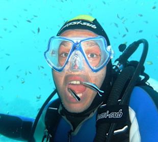 Die Putzerfische und ich