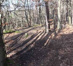 Naturschutzgebiet Hirschauer Berg