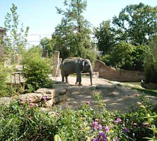 Zoo Leipzig