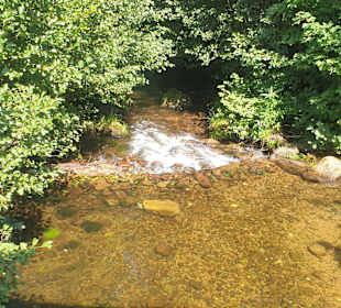 Wandern Enzklösterle 