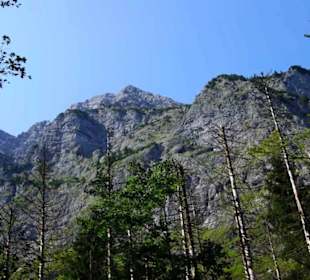 Aussicht am Wanderweg