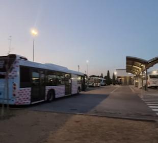 Der große Busbahnhof