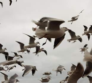 Stadtrundfahrt Istanbul