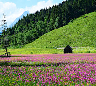 Wandern Schladming